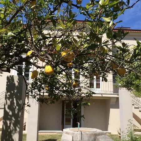 Villa Caterina サプリ エクステリア 写真